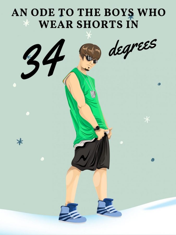 An Ode to The Boys Who Wear Shorts in 34 Degrees