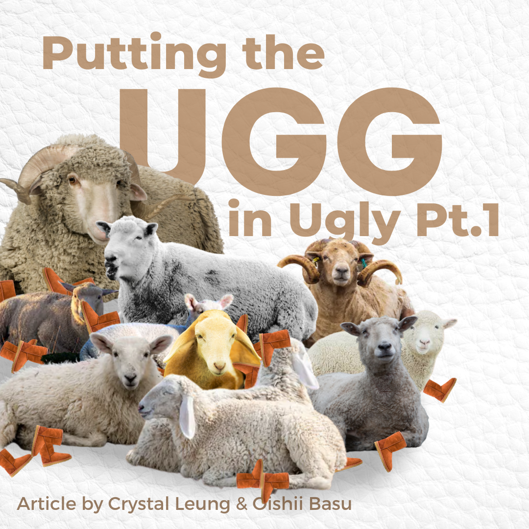 Ugg article top