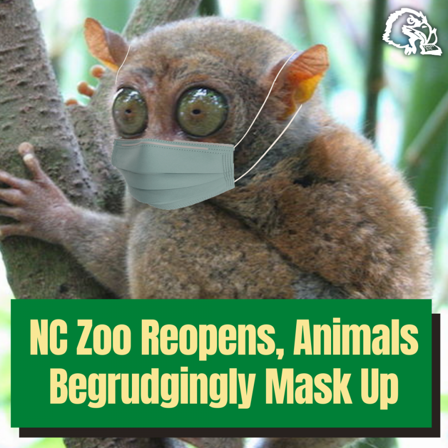 NC Zoo Reopens, Animals Begrudgingly Mask Up