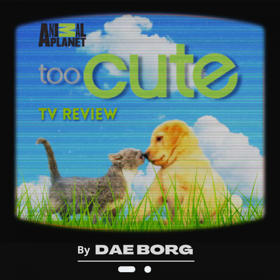 Too Cute, The Cutest Show You Will Ever Watch: A TV Review