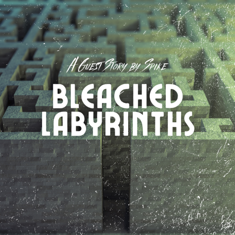 Bleached Labyrinths