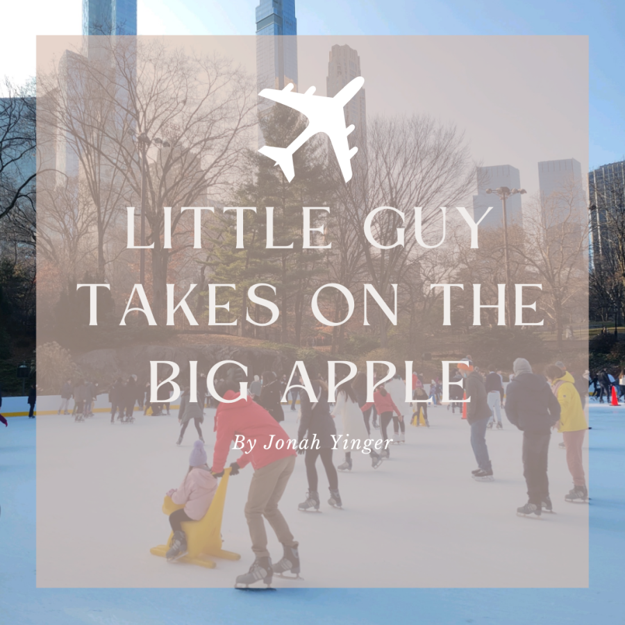 Little Guy Takes On the Big Apple