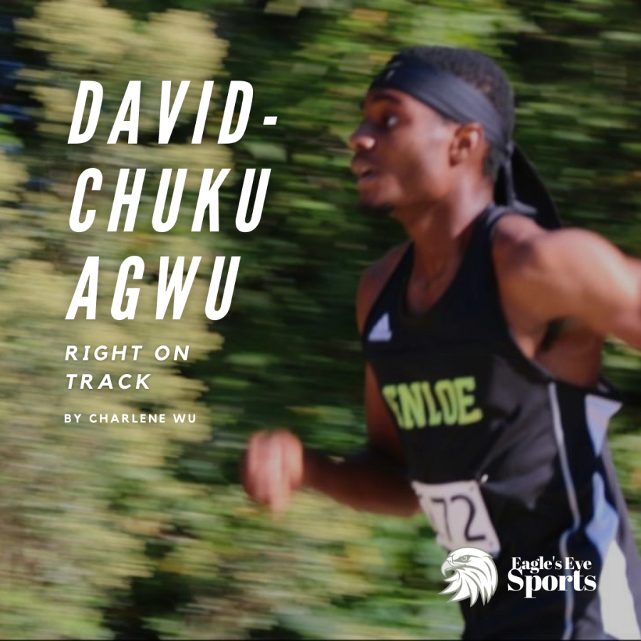 David-Chuku+Agwu%3A+Right+on+Track