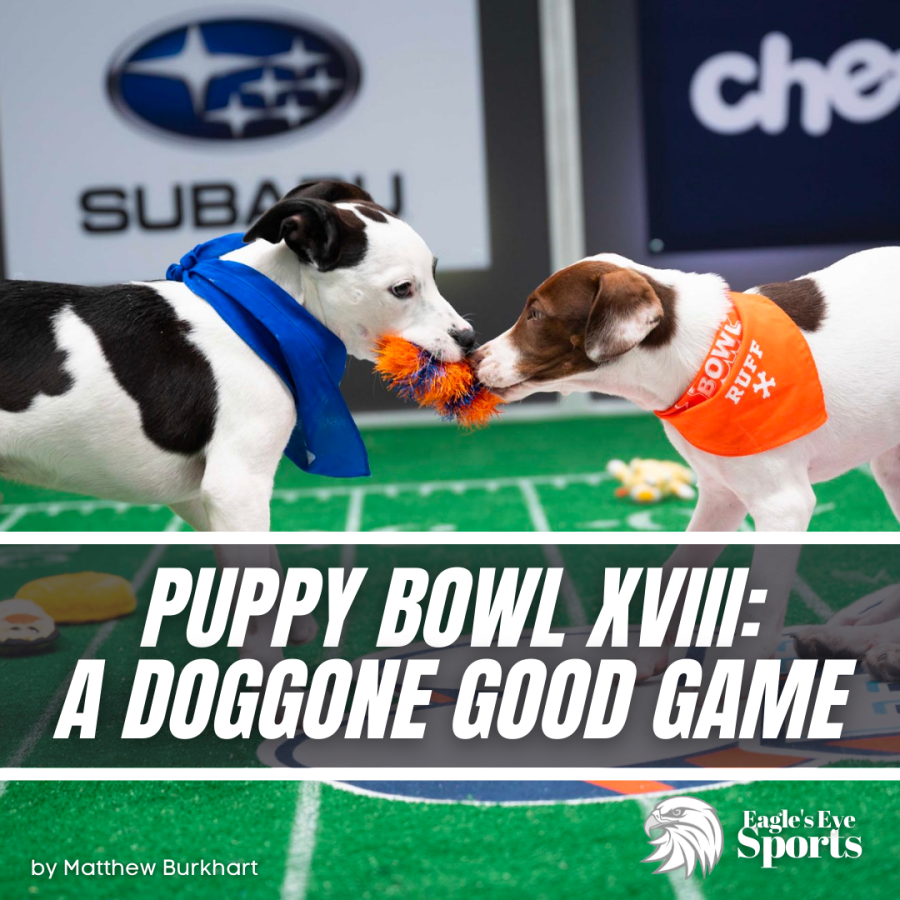 Puppy Bowl XVIII: A Doggone Good Game