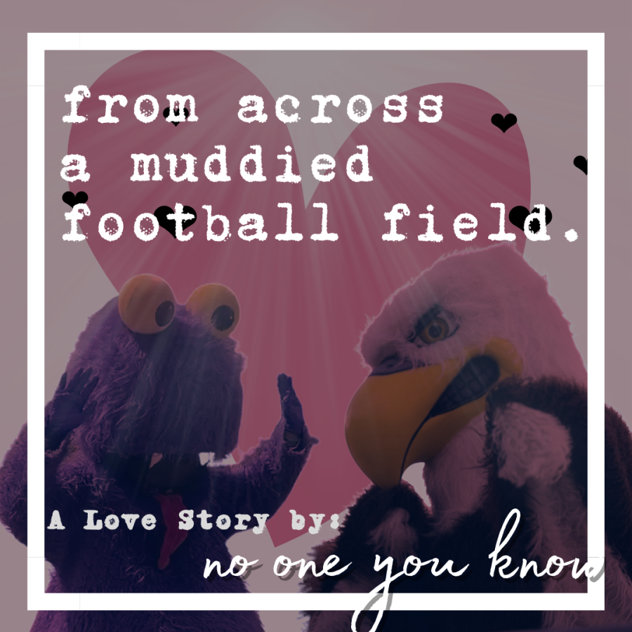 From+Across+A+Muddied+Football+Field