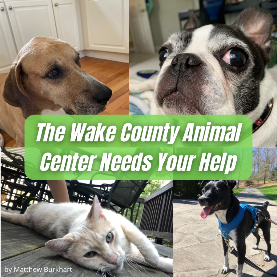 The Wake County Animal Center Needs Your Help