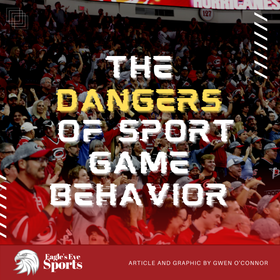The Dangers of Sport Game Behavior