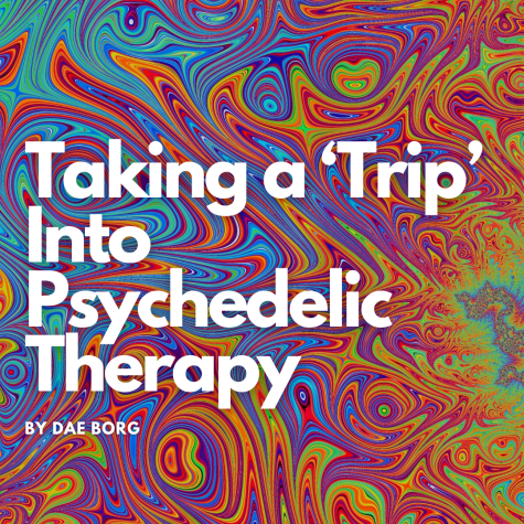Taking a ‘Trip’ Into Psychedelic Therapy