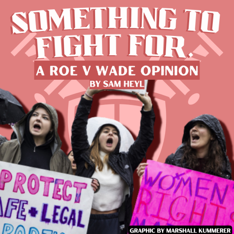 Something to Fight For: A Roe v. Wade Opinion