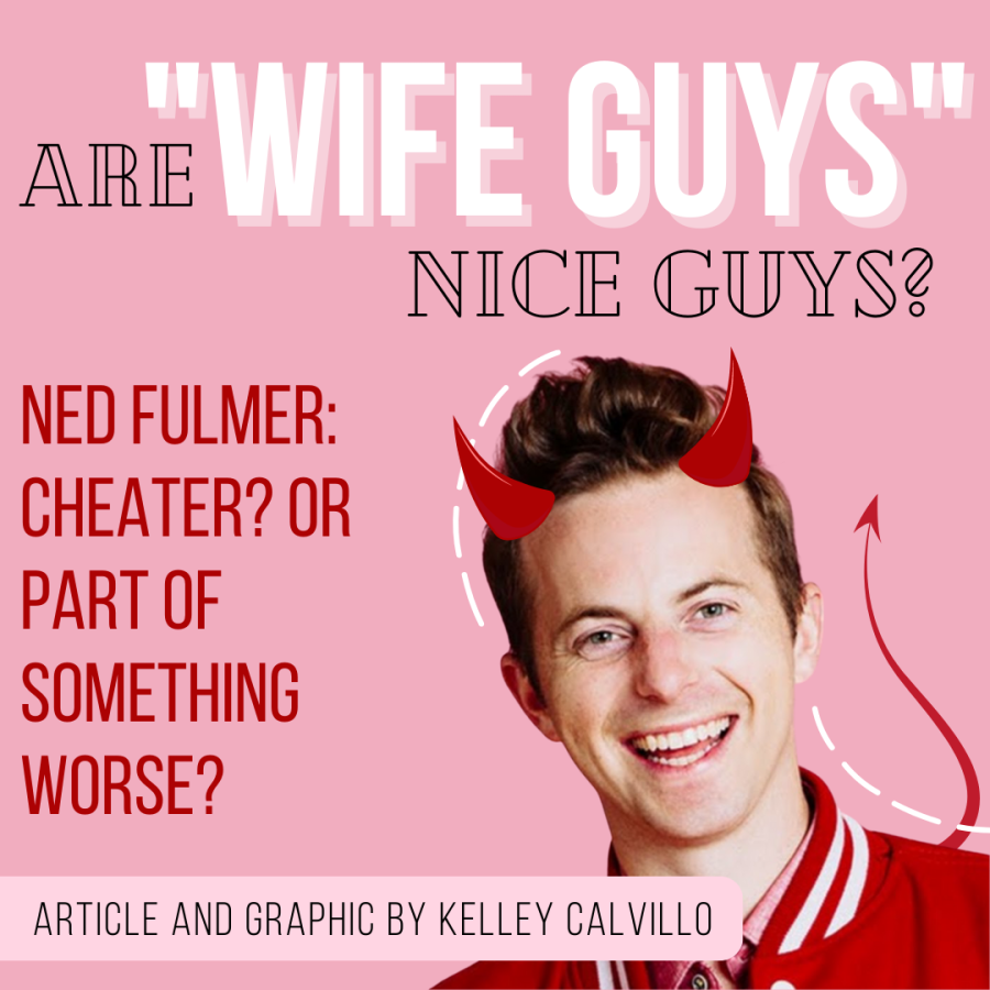 Are Wife Guys Nice Guys?