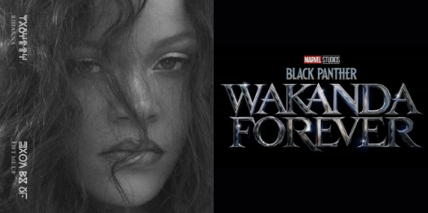 Rihanna Offers Inspiring Performance Of 'Black Panther: Wakanda Forever'  Song Lift Me Up At 2023 Oscars