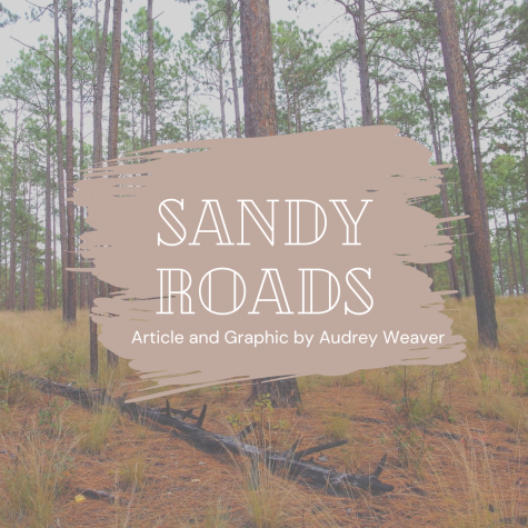 Sandy Roads