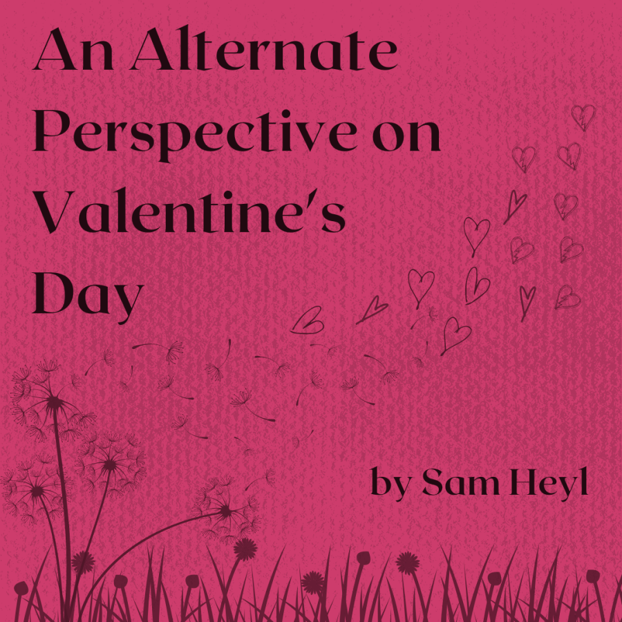 An Alternate Perspective on Valentines Day