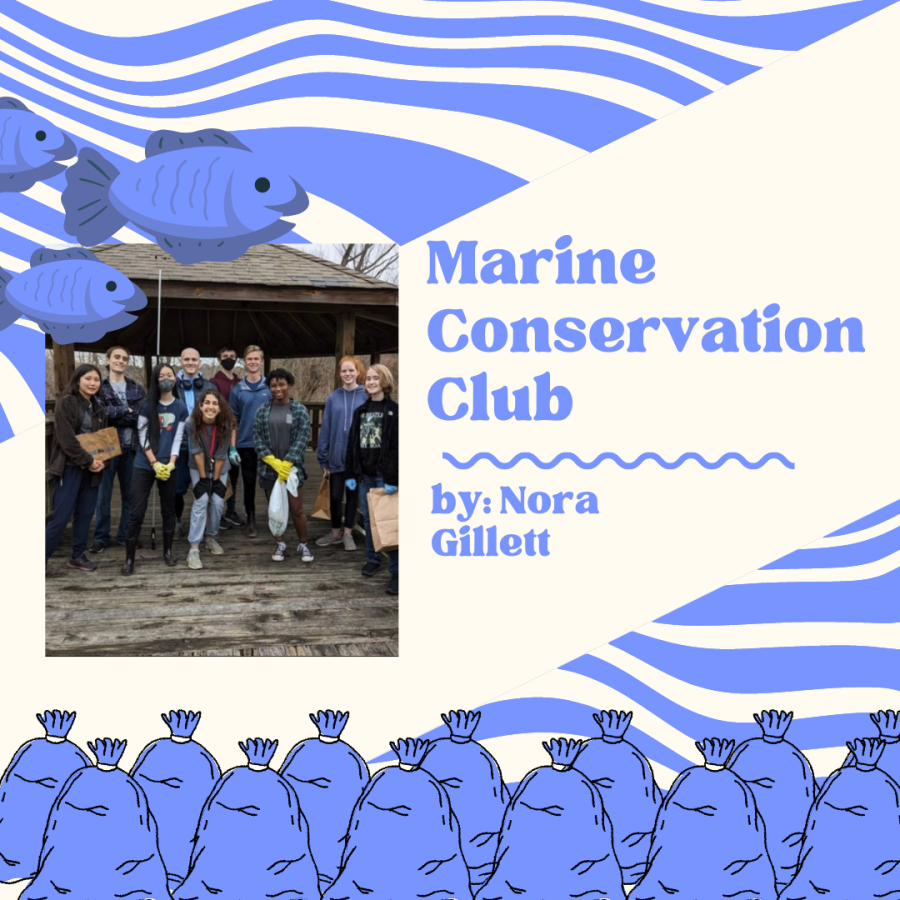 The Marine Conservation Club