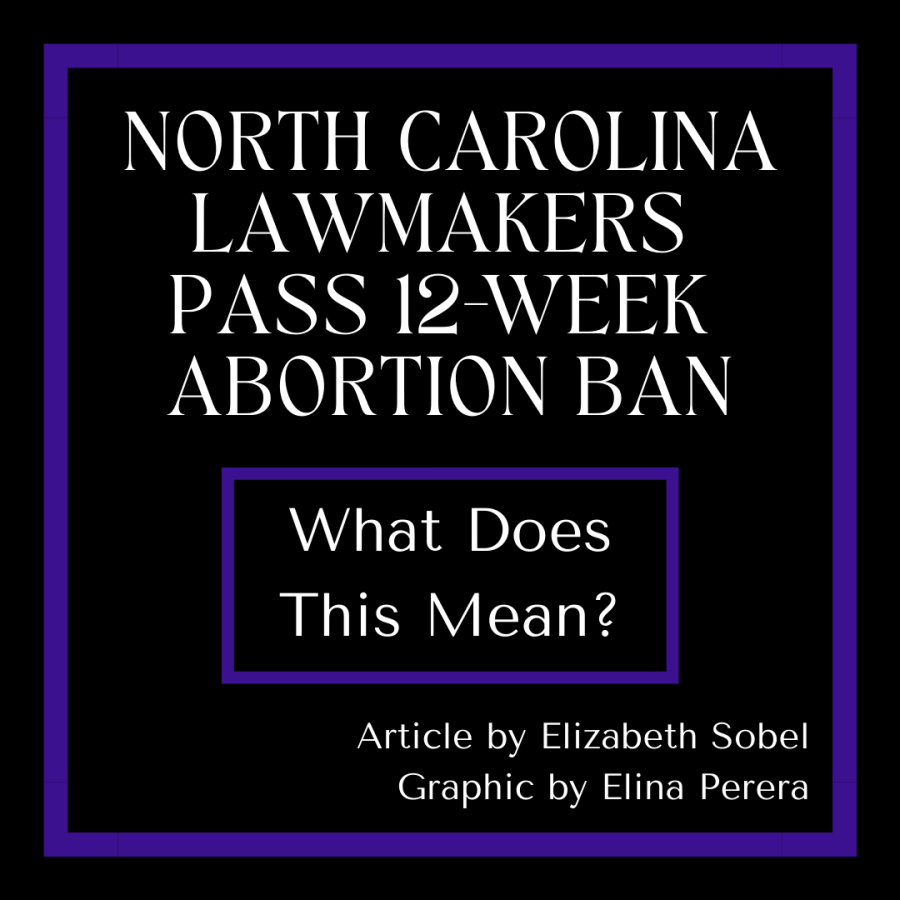 North Carolina Lawmakers Pass a 12-week Abortion Ban