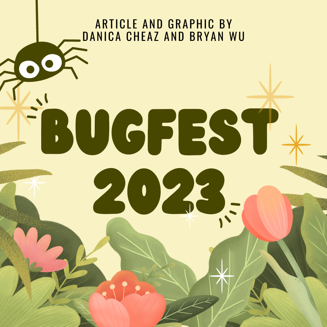 BugFest 2023: Cafe Insecta Food Review