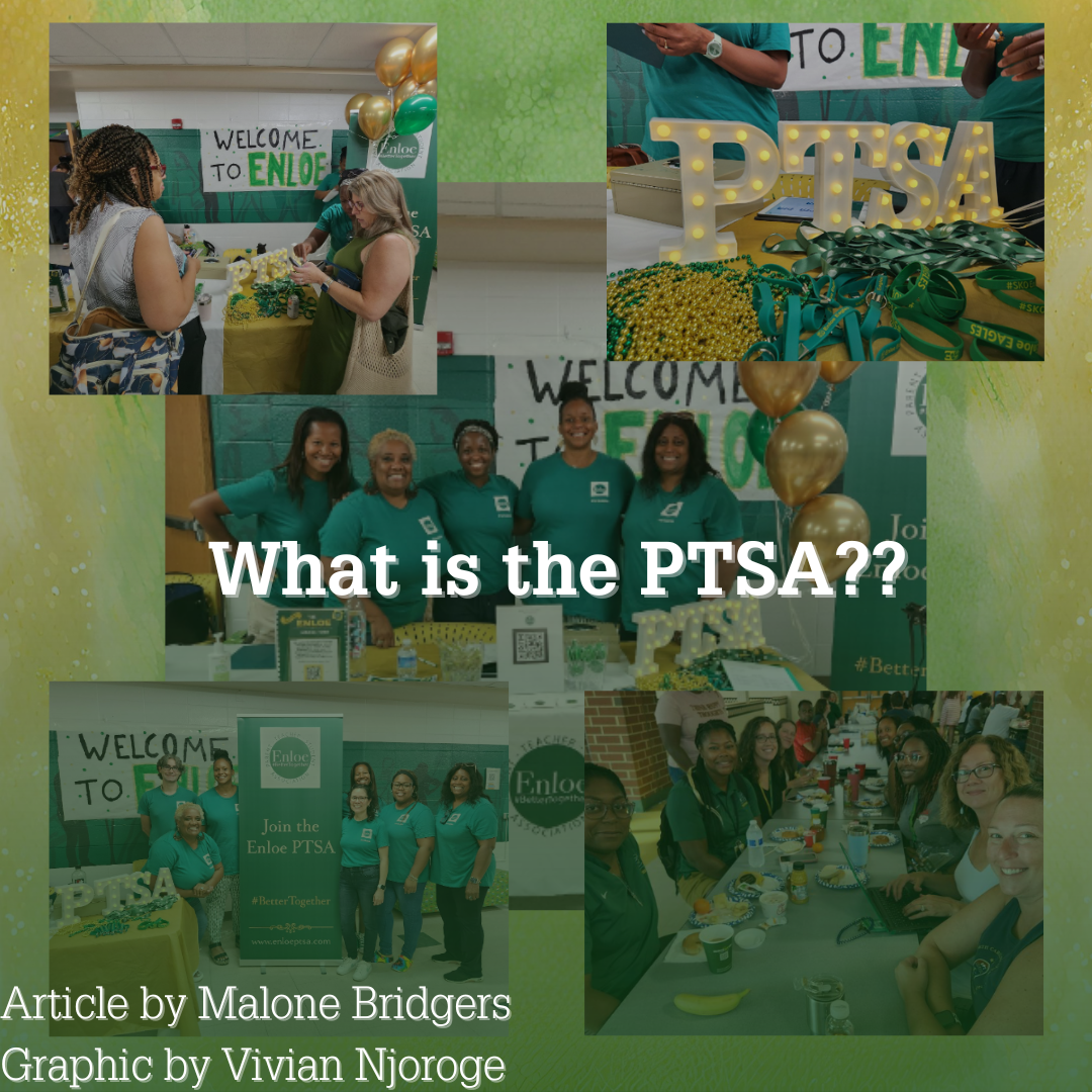 What is the PTSA?