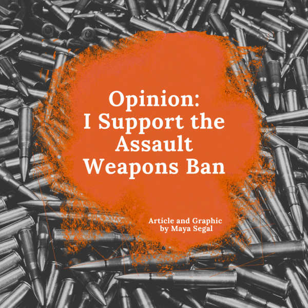 Opinion: I Support the Assault Weapons Ban