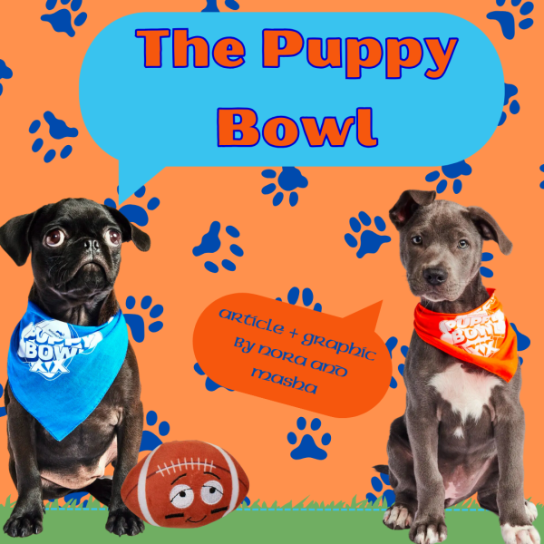 The 20th Anniversary of the Puppy Bowl