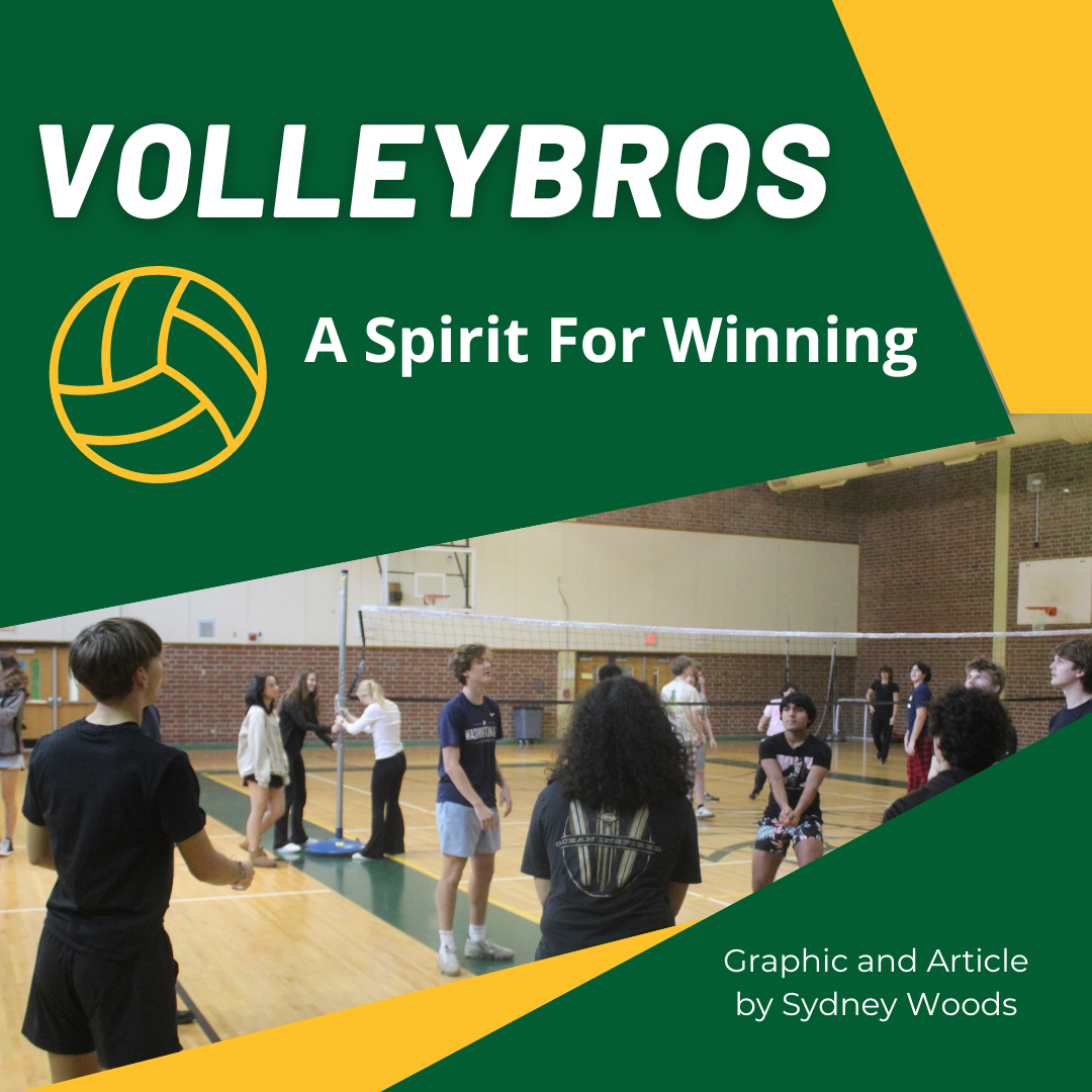 Volleybros: A Spirit for Winning