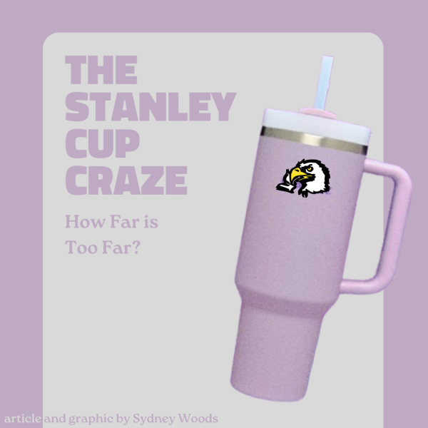 The Stanley Cup Craze: How Far is Too Far?