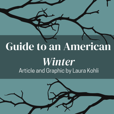 Guide to an American Winter