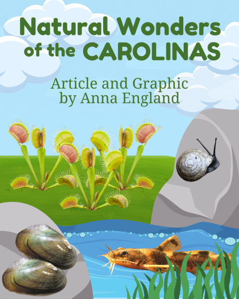 Natural Wonders of the Carolinas