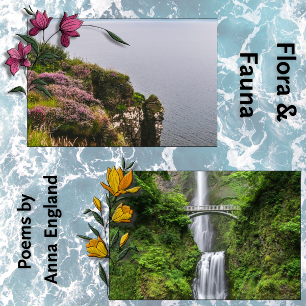Flora & Fauna